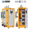 Electric Steam Generator