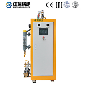 Electric Steam Generator